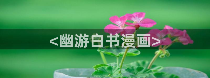 奇漫屋免费官方网站