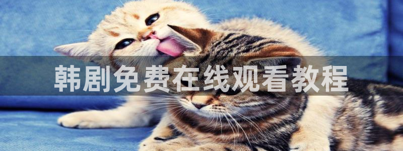 怪奇杂货店漫画免费下拉式奇漫屋
