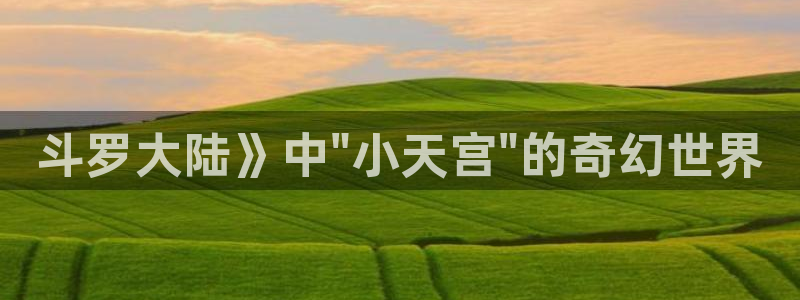 奇漫屋免费漫画下拉式小白杨：斗罗大陆》中\