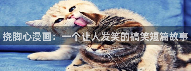 间谍过家家漫画下拉式奇漫屋