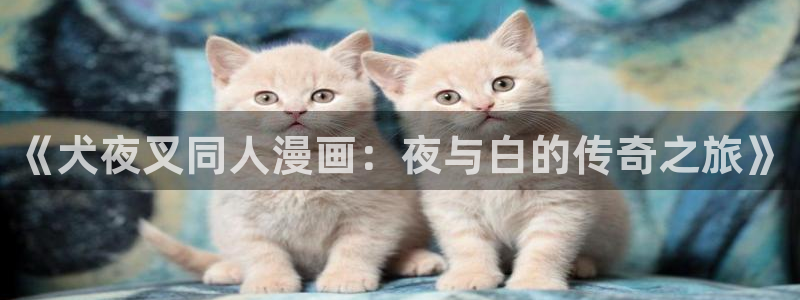 漫画免费奇漫屋：《犬夜叉同人漫画：夜与白的传奇之旅》