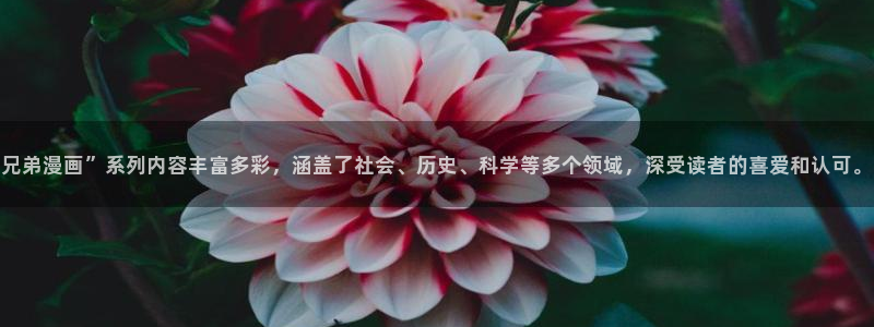 奇漫屋漫画免费在线观看